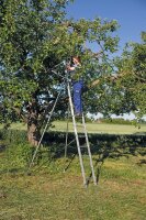 MUNK Günzburger Obstbaumstützen passend für Anlegeleiter 10010 und Schiebeleiter 20210