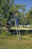MUNK Günzburger Obstbaumstützen passend für Anlegeleiter 10014 und Schiebeleiter 20214
