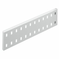 ®RasterPlan Wandschiene Lochplatte L 460 x H 70 mm...