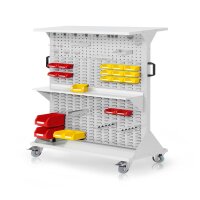 RasterMobil Gr. 4 RAL 7035 H1620 x B1000 x T500 mm. 1 x...