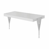 Ablageboden RAL 7035 995 x 500 x 30 mm mit Winkel.