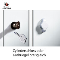 C+P Spind/Garderobenschrank Basis PLUS, 2 Abteile, doppelstöckig 1850/1950 x 600 x 500 mm (HxBxT) RAL 7035 lichtgrau-RAL 5010 enzianblau-Zylinderschloss-Füße